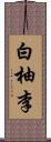 白柚李 Scroll
