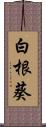 白根葵 Scroll