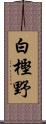 白樫野 Scroll