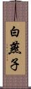 白燕子 Scroll