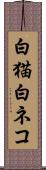 白猫 Scroll
