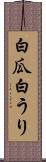 白瓜 Scroll
