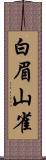 白眉山雀 Scroll