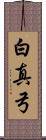 白真弓 Scroll