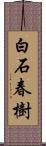 白石春樹 Scroll