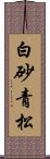 白砂青松 Scroll