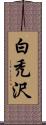 白禿沢 Scroll