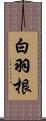 白羽根 Scroll