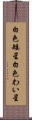 白色矮星 Scroll