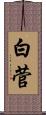 白菅 Scroll