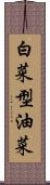 白菜型油菜 Scroll