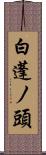 白蓬ノ頭 Scroll
