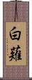 白薙 Scroll