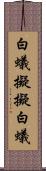 白蟻擬 Scroll