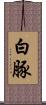 白豚 Scroll
