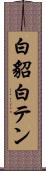 白貂 Scroll