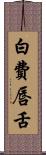 白費唇舌 Scroll