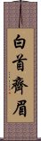 白首齊眉 Scroll