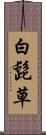 白髭草 Scroll