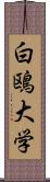 白鴎大学 Scroll