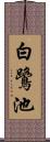 白鷺池 Scroll