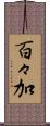 百々加 Scroll