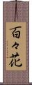 百々花 Scroll