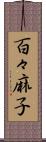 百々麻子 Scroll