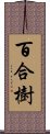 百合樹 Scroll