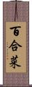 百合菜 Scroll