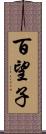 百望子 Scroll