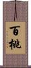 百桃 Scroll