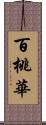 百桃華 Scroll