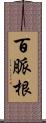 百脈根 Scroll