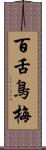 百舌鳥梅 Scroll
