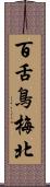 百舌鳥梅北 Scroll