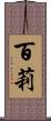 百莉 Scroll