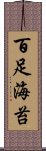百足海苔 Scroll