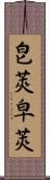 皀莢;皁莢 Scroll