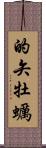 的矢牡蠣 Scroll