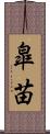 皐苗 Scroll