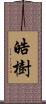 皓樹 Scroll