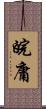 皖庸 Scroll