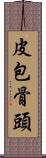 皮包骨頭 Scroll
