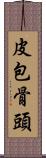 皮包骨頭 Scroll