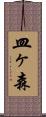 皿ヶ森 Scroll
