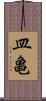 皿亀 Scroll
