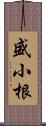 盛小根 Scroll