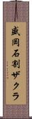 盛岡石割ザクラ Scroll