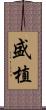 盛植 Scroll